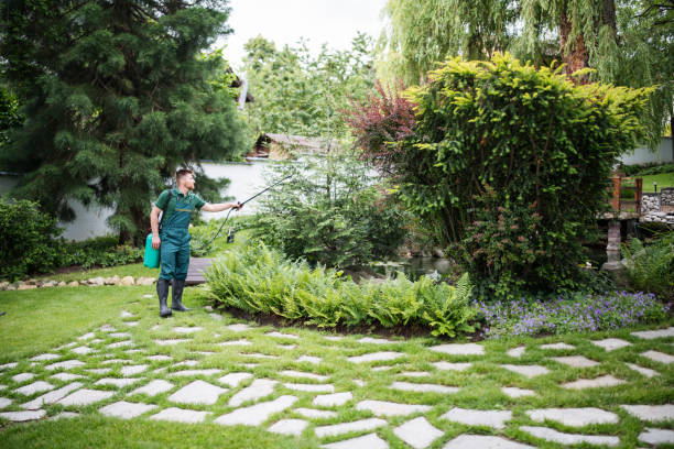 Best Affordable Exterminators  in Walford, IA