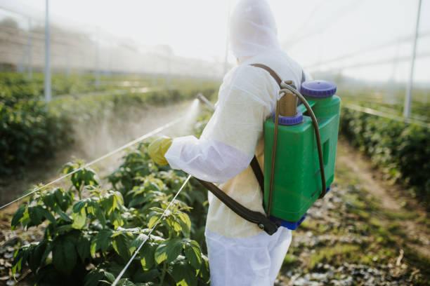 Flea Control Services in Walford, IA